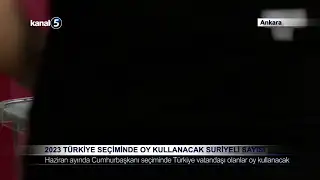 2023 Türkiye Seçiminde Oy Kullanacak Suriyeli Sayısı