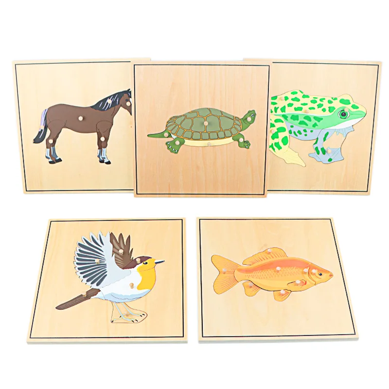 Wooden Animal Skeleton Puzzle Set for Kids Biology Learning Montessori Educational Toys - 3